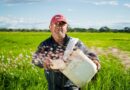 Crédito rural supera R$ 290 bilhões, com mais de 1 milhão de contratos em dez meses