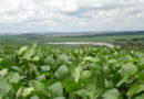 Embrapa lança ferramenta que facilita a gestão ambiental da produção agrícola