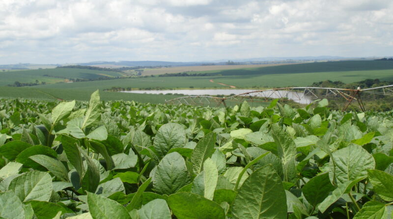 Embrapa lança ferramenta que facilita a gestão ambiental da produção agrícola