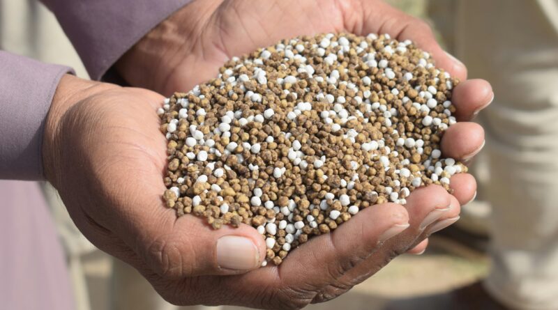 Fertilizantes Especiais apresentaram crescimento expressivo em 2024, aponta a Abisolo